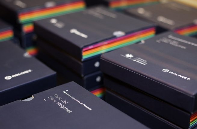 Molymet - Guía del Líder