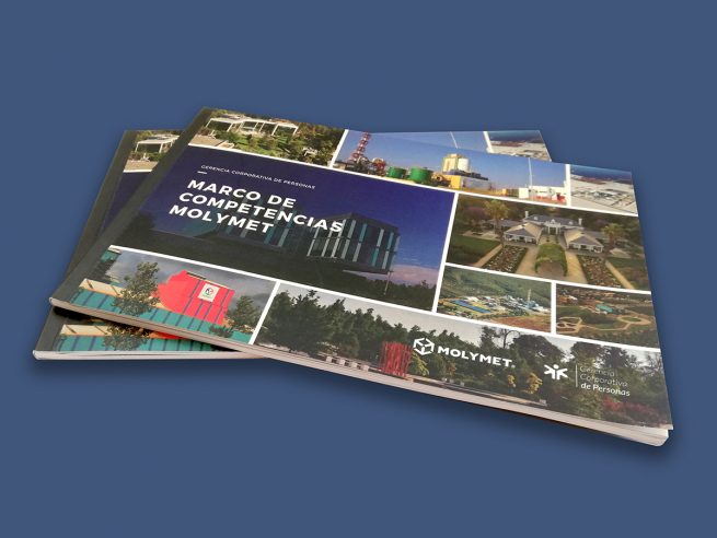 Molymet - Marco de Competencia
